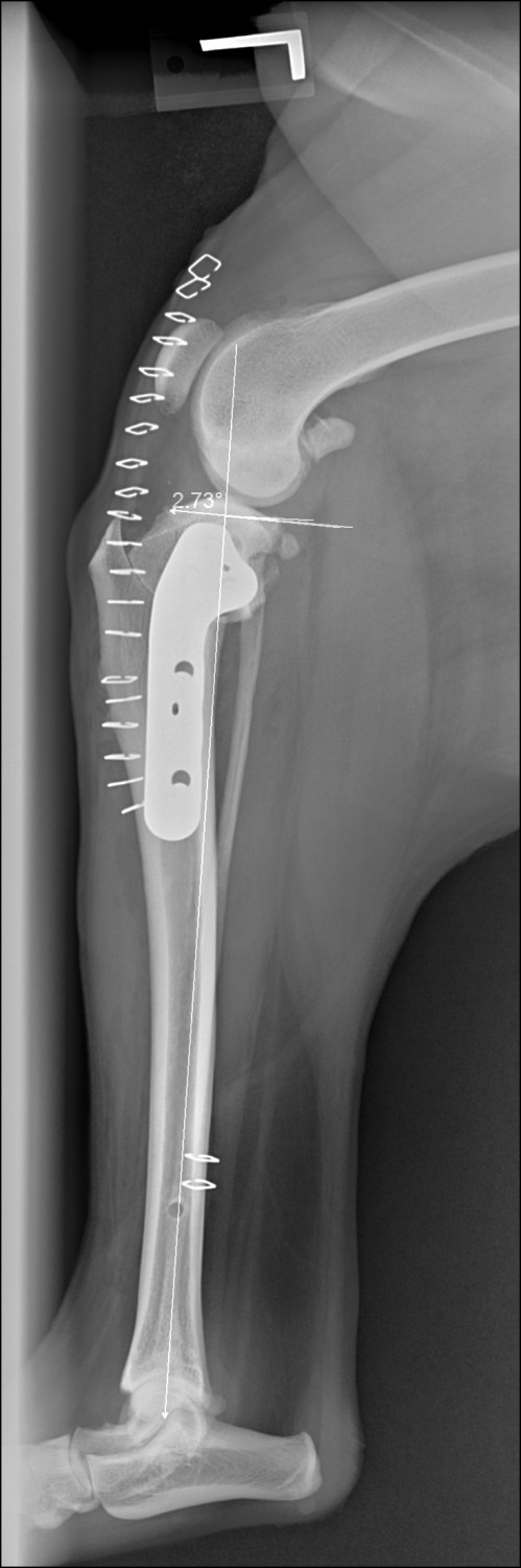 Digital Radiographs